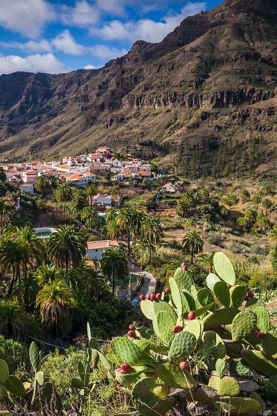 Spain-Canary Islands-Gran Canaria Island-Fataga-high angle village view